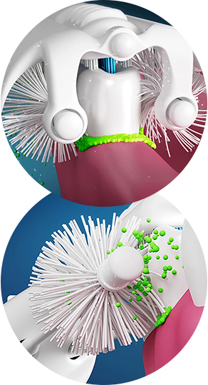 電動歯ブラシ COOLSSHA